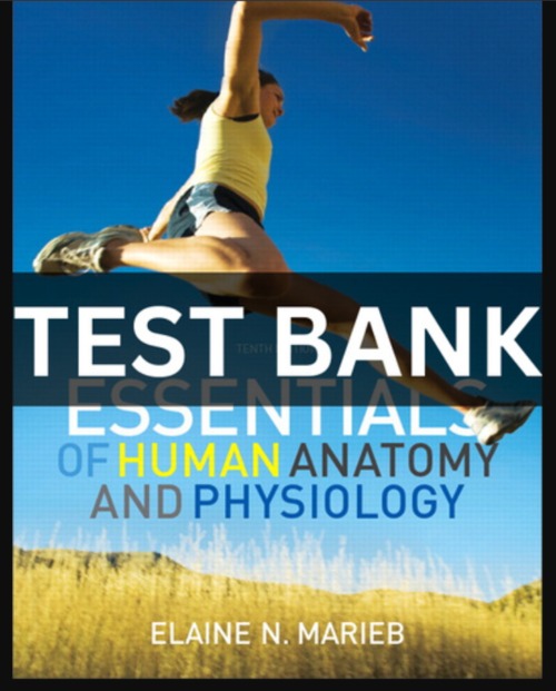 Product picture TEST BANK Essentials of Human Anatomy and Physiology 10th Ed